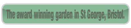 The award winning garden in St George, Bristol..