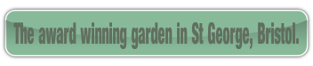 The award winning garden in St George, Bristol..